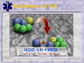 Breakdown of CO2




    H2CO3 = H + HCO3
   Carbonic Acid   Hydrogen Bicarbonate
 