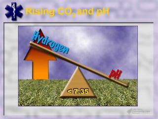 Rising CO2 and pH



CO22 + H22O = H22CO33 = H + HCO33
 
