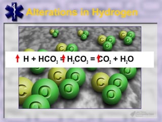 Alterations in Hydrogen



H + 2 HCO3 = H2CO3 3= CO++ H2O3
CO + H2O = H2CO = H 2 HCO
 