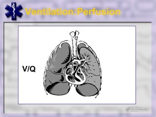 Ventilation:Perfusion




V/Q
 