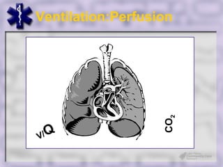 Ventilation:Perfusion




                   CO2
V/Q
 