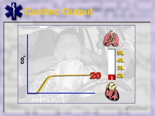 Cardiac Output
 