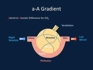 a-A Gradient
r r Alveolus
PaCO2
Vein
A te y
Ventilation
Perfusion
arterial to Alveolar Difference for CO2
Right
Ventricle
Left
Atrium
EtCO2
 