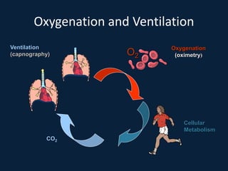Oxygenation and Ventilation
Oxygenation
(oximetry)
Cellular
Metabolism
Ventilation
(capnography)
CO2
O2
 