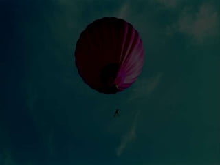 Look at the following images.  What do they suggest about the characters and themes in the novel?From your reading of Enduring Love, what evidence do you have for this so far?