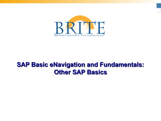 SAP Basic eNavigation and Fundamentals:SAP Basic eNavigation and Fundamentals:
Other SAP BasicsOther SAP Basics
 