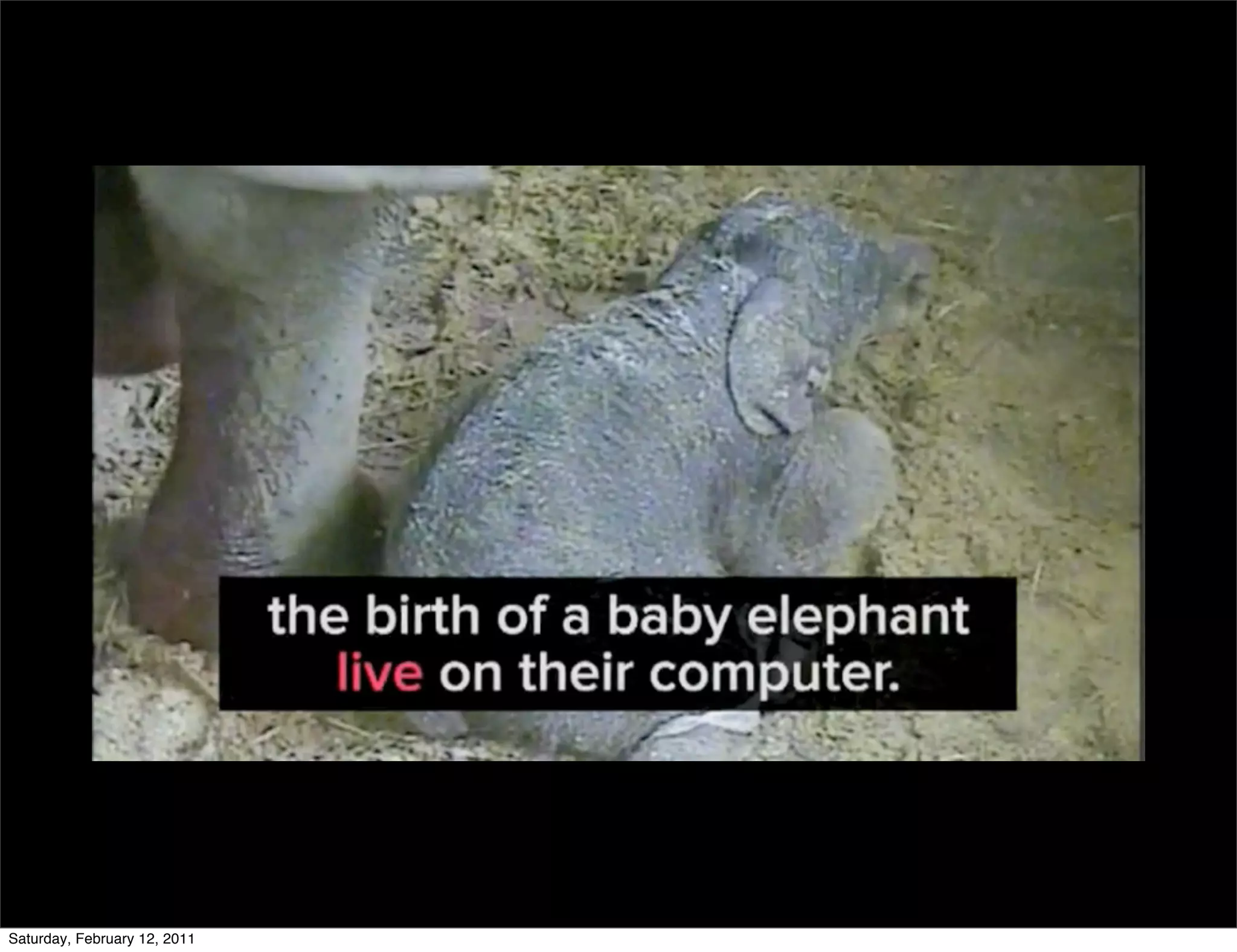 antwerp zoo

                              http://www.youtube.com/
                               watch?v=F1uwexYeKAg




Saturday, February 12, 2011
 