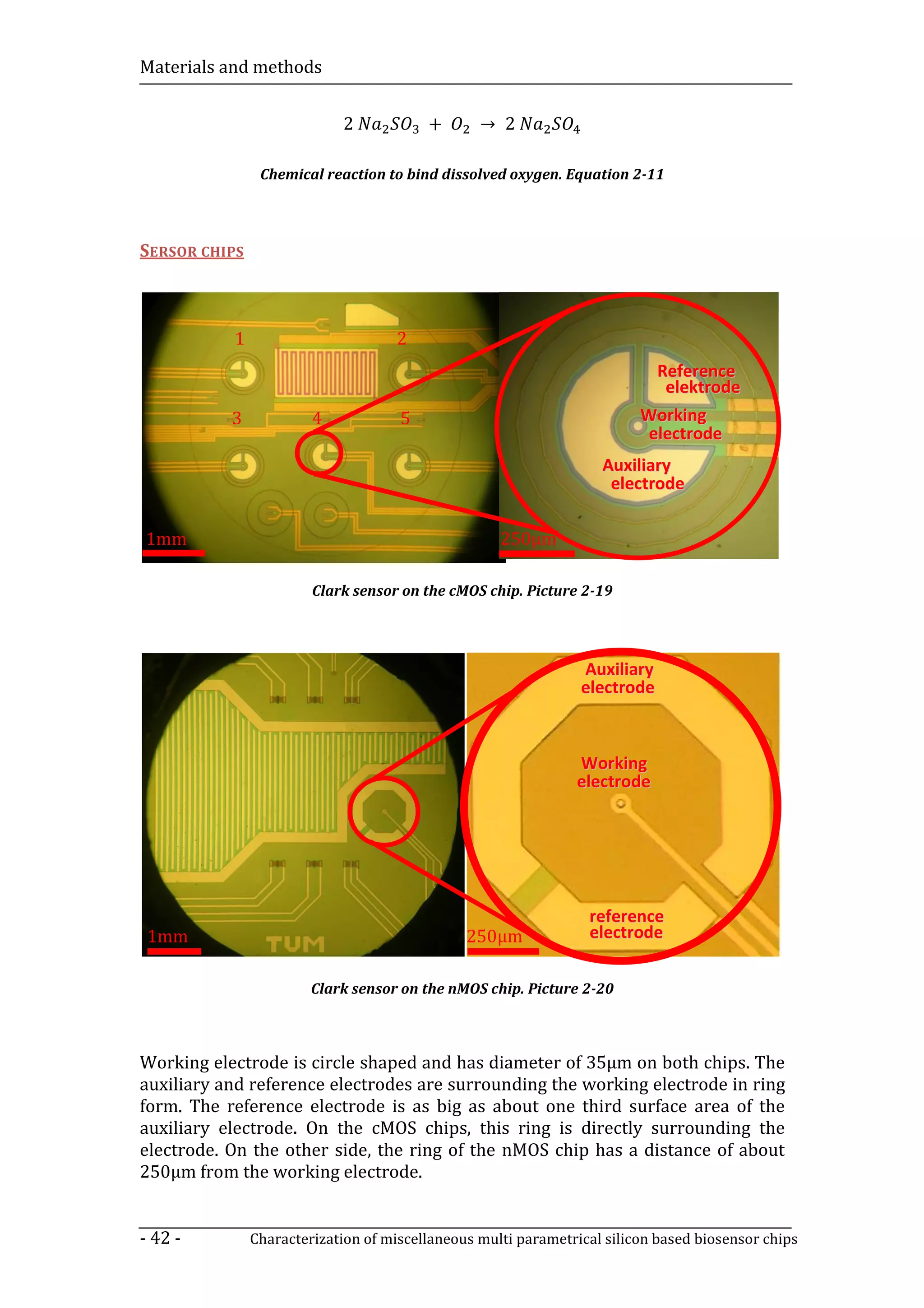 Materials and methods


                            2            +       → 2

                Chemical reaction to bind dissolved oxygen. Equation 2-11



SERSOR CHIPS



           1                        2
                                                                           Reference
                                                                            elektrode
           3            4            5                                   Working
                                                                          electrode
                                                                   Auxiliary
                                                                    electrode

1mm                                                 250µm

                        Clark sensor on the cMOS chip. Picture 2-19




                                                                Auxiliary
                                                                electrode



                                                               Working
                                                               electrode




                                                                 reference
 1mm                                           250µm             electrode

                        Clark sensor on the nMOS chip. Picture 2-20



Working electrode is circle shaped and has diameter of 35µm on both chips. The
auxiliary and reference electrodes are surrounding the working electrode in ring
form. The reference electrode is as big as about one third surface area of the
auxiliary electrode. On the cMOS chips, this ring is directly surrounding the
electrode. On the other side, the ring of the nMOS chip has a distance of about
250µm from the working electrode.


- 42 -         Characterization of miscellaneous multi parametrical silicon based biosensor chips
 