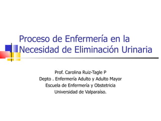 Proceso de Enfermería en la Necesidad de Eliminación Urinaria  Prof. Carolina Ruiz-Tagle P Depto . Enfermería Adulto y Adulto Mayor Escuela de Enfermería y Obstetricia Universidad de Valparaíso. 
