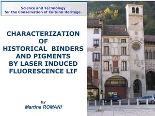 Science and Technology
for the Conservation of Cultural Heritage.




 CHARACTERIZATION
         OF
HISTORICAL BINDERS
    AND PIGMENTS
 BY LASER INDUCED
  FLUORESCENCE LIF



                   by
          Martina ROMANI
 