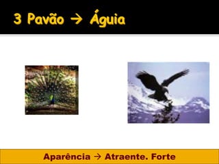 Aparência  Atraente. Forte
 