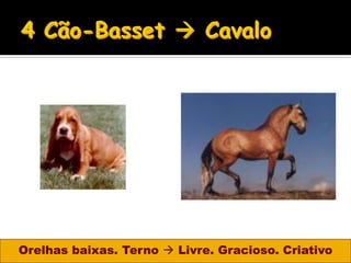 Orelhas baixas. Terno  Livre. Gracioso. Criativo
 