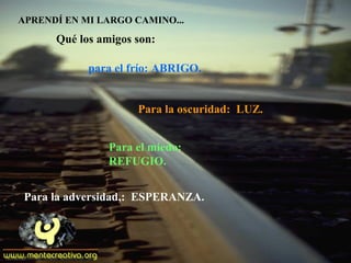 APRENDÍ EN MI LARGO CAMINO...
Qué los amigos son:
para el frío: ABRIGO.
Para el miedo:
REFUGIO.
Para la adversidad,: ESPERANZA.
Para la oscuridad: LUZ.
 