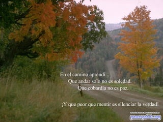 En el camino aprendí... Que andar solo no es soledad. Que cobardía no es paz. ¡Y que peor que mentir es silenciar la verdad!