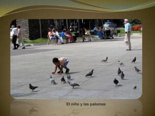 El niño y las palomas
 