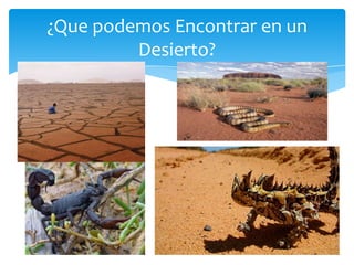 ¿Que podemos Encontrar en un
         Desierto?
 