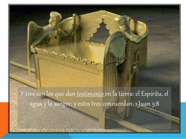 En el kairos de Dios. EL ARCA DEL TESTIMONIO.