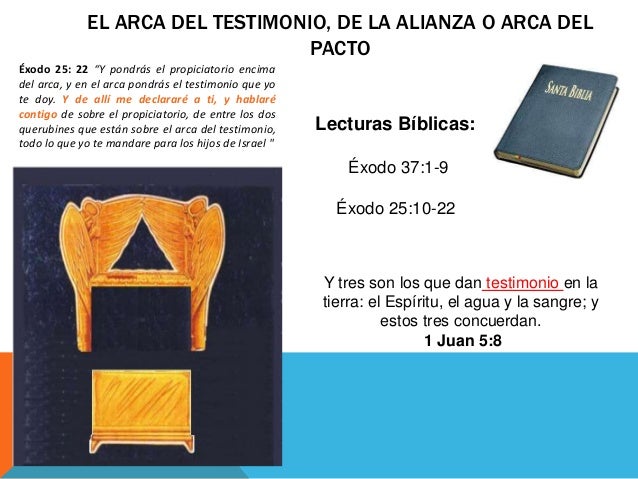 En el kairos de Dios. EL ARCA DEL TESTIMONIO.