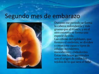 Periodo De Gestacion Priscila Ona