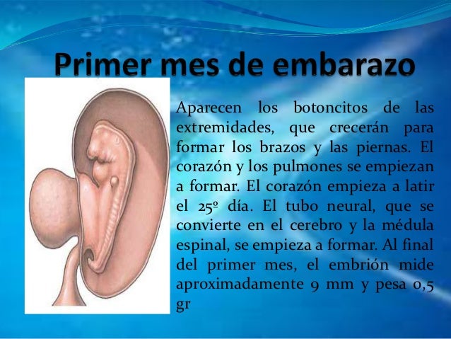 Gestacion subrogada en que consiste