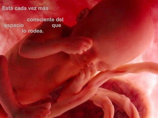 Está cada vez más  consciente del espacio  que lo rodea. 