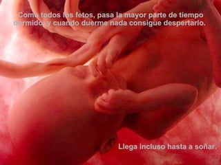 Como todos los fetos, pasa la mayor parte de tiempo dormido, y cuando duerme nada consigue despertarlo.  Llega incluso hasta a soñar. 
