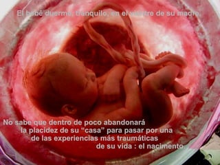 El bebê duerme, tranquilo, en el vientre de su madre.  No sabe que dentro de poco abandonará  la placidez de su “casa” para pasar por una  de las experiencias más traumáticas  de su vida : el nacimento. 