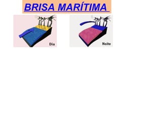 BRISA MARÍTIMA
 
