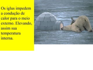Os iglus impedem
a condução de
calor para o meio
externo. Elevando,
assim sua
temperatura
interna.
 