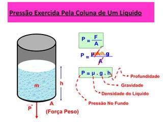 Pressão Exercida Pela Coluna de Um Líquido
A
m
P
(Força Peso)
F
A
P =
m . g
A
P =
μ .v . gμ.A.h.g
h
μ . g . hP =
Pressão No Fundo
Densidade do Líquido
Gravidade
Profundidade
 