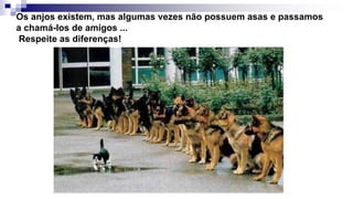 Os anjos existem, mas algumas vezes não possuem asas e passamos
a chamá-los de amigos ...
Respeite as diferenças!
 