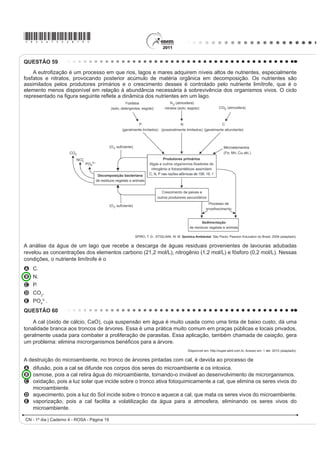 A igualitária, com um nível satisfatório de distribuição
                 $ PHWUySROH H R LQWHULRU ÀXPLQHQVH VLPHWULDV H DVVLPHWULDV JHRJUi¿FDV          da renda.
                                               5LR GH -DQHLUR *UDPPD  DGDSWDGR 