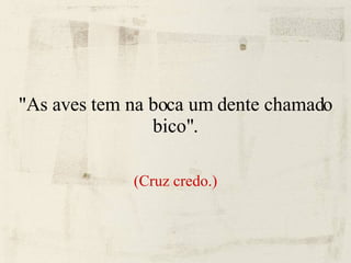"As aves tem na boca um dente chamado bico". (Cruz credo.) 