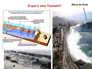 Altura da Onda
O que é uma Tsunami?
 