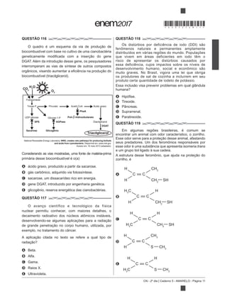 CN - 2º dia | Caderno 5 - AMARELO - Página 11
QUESTÃO 116
biocombustível com base no cultivo de uma cianobactéria
interromperam as vias de síntese de outros compostos
Fotossíntese
Triose-P Piruvato
UDP-glicose
SPS
Sacarose
Glicose-1-P
Acetil-CoA Ácido graxo
DiacilglicerolAGPase
Glicogênio
DGAT
Triacilglicerol
CO2
O2
H2
O
PhaA
Poli- -hidroxibutarato
NREL creates new pathways for producing biofuels
and acids from cyanobacteria. Disponível em: www.nrel.gov.
Considerando as vias mostradas, uma fonte de matéria-prima
A ácido graxo, produzido a partir da sacarose.
B
C sacarose, um dissacarídeo rico em energia.
D gene DGAT, introduzido por engenharia genética.
E glicogênio, reserva energética das cianobactérias.
QUESTÃO 117
O avanço científico e tecnológico da física
nuclear permitiu conhecer, com maiores detalhes, o
exemplo, no tratamento do câncer.
A Beta.
B Alfa.
C Gama.
D Raios X.
E Ultravioleta.
QUESTÃO 118
distribuídos em várias regiões do mundo. Populações
que vivem em áreas deficientes em iodo têm o
risco de apresentar os distúrbios causados por
essa deficiência, cujos impactos sobre os níveis de
muito graves. No Brasil, vigora uma lei que obriga
os produtores de sal de cozinha a incluírem em seu
produto certa quantidade de iodeto de potássio.
A
B Tireoide.
C Pâncreas.
D Suprarrenal.
E Paratireoide.
QUESTÃO 119
Em algumas regiões brasileiras, é comum se
encontrar um animal com odor característico, o zorrilho.
esse odor é uma substância que apresenta isomeria trans
e um grupo tiol ligado à sua cadeia.
zorrilho, é
A
H
C C
H
CH3
CH2
SH
B
H3
C
C C
H
H
CH2
SH
C
H
C C
H3
C
H
CH2
SH
D
H
C C
H
CH3
S CH3
E
H
C C
H3
C
H
S CH3
*DO0525AM11*
 