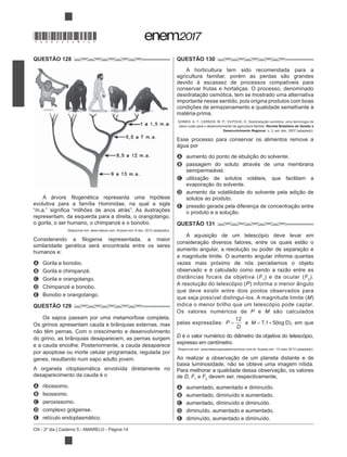 CN - 2º dia | Caderno 5 - AMARELO - Página 14
QUESTÃO 128
evolutiva para a família Hominidae, na qual a sigla
representam, da esquerda para a direita, o orangotango,
o gorila, o ser humano, o chimpanzé e o bonobo.
similaridade genética será encontrada entre os seres
humanos e:
A Gorila e bonobo.
B Gorila e chimpanzé.
C Gorila e orangotango.
D Chimpanzé e bonobo.
E Bonobo e orangotango.
QUESTÃO 129
Os sapos passam por uma metamorfose completa.
Os girinos apresentam cauda e brânquias externas, mas
do girino, as brânquias desaparecem, as pernas surgem
e a cauda encolhe. Posteriormente, a cauda desaparece
por apoptose ou morte celular programada, regulada por
genes, resultando num sapo adulto jovem.
A organela citoplasmática envolvida diretamente no
desaparecimento da cauda é o
A ribossomo.
B lisossomo.
C peroxissomo.
D complexo golgiense.
E retículo endoplasmático.
QUESTÃO 130
A horticultura tem sido recomendada para a
devido à escassez de processos compatíveis para
conservar frutas e hortaliças. O processo, denominado
importante nesse sentido, pois origina produtos com boas
condições de armazenamento e qualidade semelhante à
matéria-prima.
baixo custo para o desenvolvimento da agricultura familiar. Revista Brasileira de Gestão e
Desenvolvimento Regional
Esse processo para conservar os alimentos remove a
água por
A
B passagem do soluto através de uma membrana
semipermeável.
C
D
solutos ao produto.
E
QUESTÃO 131
um telescópio deve levar em
a magnitude limite. O aumento angular informa quantas
vezes mais próximo de nós percebemos o objeto
F1
F2
).
P) informa o menor ângulo
que deve existir entre dois pontos observados para
M)
indica o menor brilho que um telescópio pode captar.
Os valores numéricos de P e M
pelas expressões: P
D
12
e M = +7 1 5, (log D), em que
D é o valor numérico do diâmetro da objetiva do telescópio,
expresso em centímetro.
de D, F1
e F2
devem ser, respectivamente,
A aumentado, aumentado e diminuído.
B aumentado, diminuído e aumentado.
C aumentado, diminuído e diminuído.
D diminuído, aumentado e aumentado.
E diminuído, aumentado e diminuído.
*DO0525AM14*
 