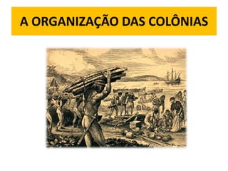 A ORGANIZAÇÃO DAS COLÔNIAS 
 