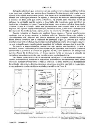 GRUPO II
Os lagartos são répteis que, ao locomoverem-se, efectuam movimentos ondulatórios, flectindo
o seu corpo para a direita e para a esquerda. A Hipótese do Constrangimento Axial propõe que os
lagartos estão sujeitos a um constrangimento axial, dependente da velocidade de locomoção, que
interfere com a ventilação pulmonar. Em repouso, a contracção dos músculos intercostais permite
a expansão do tórax, para que ocorra a inspiração. No entanto, estes músculos deixam de
participar na ventilação quando, durante a locomoção, são mobilizados para permitirem os
movimentos ondulatórios do tronco. Estas flexões laterais comprometem a eficácia da ventilação
pulmonar durante a locomoção, sendo este problema tanto maior quanto maior a velocidade
adquirida. Esta hipótese sugere uma contradição, na medida em que, quanto maior é a necessidade
de oxigenação dos tecidos durante a corrida, menor é a eficácia na admissão de oxigénio.
Estudos realizados em lagartos das espécies Iguana iguana e Varanus exanthematicus
mostraram que, na primeira espécie, a ventilação pulmonar, durante a locomoção, reflectia o
constrangimento axial, enquanto, em Varanus, revelaram que o oxigénio presente no sangue
destes animais aumentava com a velocidade da locomoção (Figura 2). Uma vez que Varanus
exanthematicus também efectua movimentos ondulatórios laterais durante a locomoção, procurou-
-se uma explicação para a manutenção da capacidade de ventilação pulmonar durante a corrida.
Recorrendo a videorradiografias, constatou-se que Varanus exanthematicus, durante a
locomoção, começa o ciclo respiratório com uma expiração, seguida de uma inspiração que enche
parcialmente os pulmões e a cavidade da garganta. Por fim, o ar é bombeado em direcção aos
pulmões (Figura 3). Contrariamente, em Iguana iguana, nunca se observou a utilização da
cavidade da garganta como bomba para complementar a ventilação pulmonar.
Para avaliar o grau de importância da cavidade da garganta no mecanismo ventilatório, em
Varanus exanthematicus, realizaram-se dois ensaios experimentais, um com animais com a bomba
funcional e outro com animais com a bomba não funcional. Foi feita a determinação da capacidade
de ventilação e do consumo de oxigénio durante a locomoção e durante o período de recuperação,
encontrando-se os resultados obtidos registados nos gráficos da Figura 4.
Texto e figuras elaborados com base em Brainerd, E. L. et al., Functional Morphology and Evolution
of Aspiration Breathing in Tetrapods, 2006
Prova 702 • Página 6/ 16
 