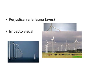 • Perjudican a la fauna (aves)

• Impacto visual
 