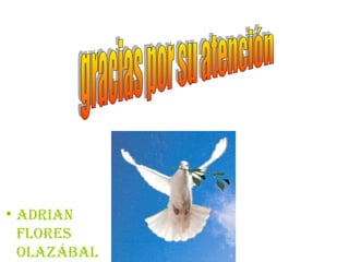 ADRIAN FLORES OLAZÁBAL gracias por su atención 