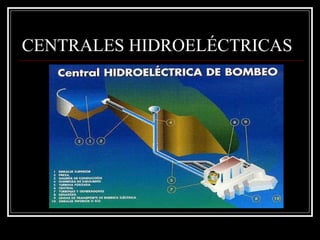 CENTRALES HIDROELÉCTRICAS 