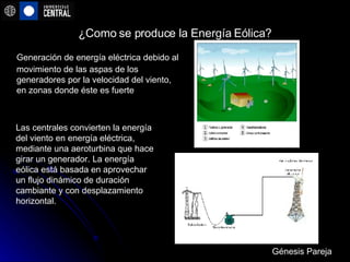 ¿Como se produce la Energía Eólica? Generación de energía eléctrica debido al movimiento de las aspas de los generadores por la velocidad del viento, en zonas donde éste es fuerte Génesis Pareja Las centrales convierten la energía del viento en energía eléctrica, mediante una aeroturbina que hace girar un generador. La energía eólica está basada en aprovechar un flujo dinámico de duración cambiante y con desplazamiento horizontal. 