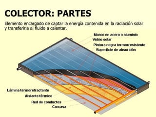 COLECTOR: PARTES Elemento encargado de captar la energía contenida en la radiación solar y transferirla al fluido a calentar.   