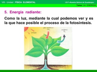 VIII - Unidad : FÍSICA ELEMENTAL

I.E.P «Nuestra Señora de Guadalupe»

Tema: LA ENERGÍA

5. Energía radiante:
Como la luz, mediante la cual podemos ver y es
la que hace posible el proceso de la fotosíntesis.

 