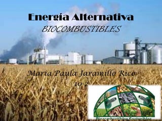 Energía Alternativa
  BIOCOMBUSTIBLES



Maria Paula Jaramillo Rico
          10-2
 