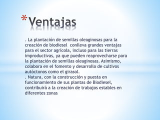 . La plantación de semillas oleaginosas para la
creación de biodiesel conlleva grandes ventajas
para el sector agrícola, incluso para las tierras
improductivas, ya que pueden reaprovecharse para
la plantación de semillas oleaginosas. Asimismo,
colabora en el fomento y desarrollo de cultivos
autóctonos como el girasol.
. Natura, con la construcción y puesta en
funcionamiento de sus plantas de Biodiesel,
contribuirá a la creación de trabajos estables en
diferentes zonas
*
 