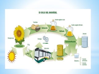 Energía biofuel 