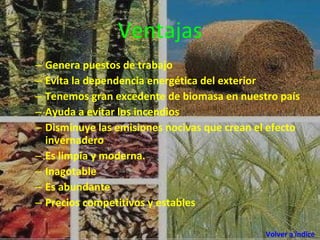 Ventajas Genera puestos de trabajo Evita la dependencia energética del exterior Tenemos gran excedente de biomasa en nuestro país Ayuda a evitar los incendios Disminuye las emisiones nocivas que crean el efecto invernadero Es limpia y moderna. Inagotable  Es abundante  Precios competitivos y estables Volver a índice 