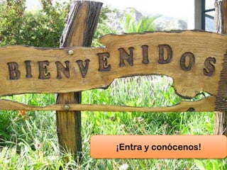 ¡Entra y conócenos!