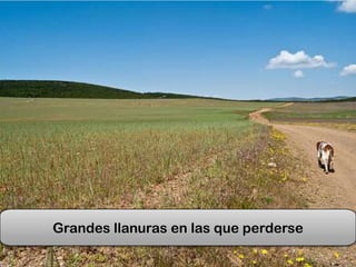 Grandes llanuras en las que perderse